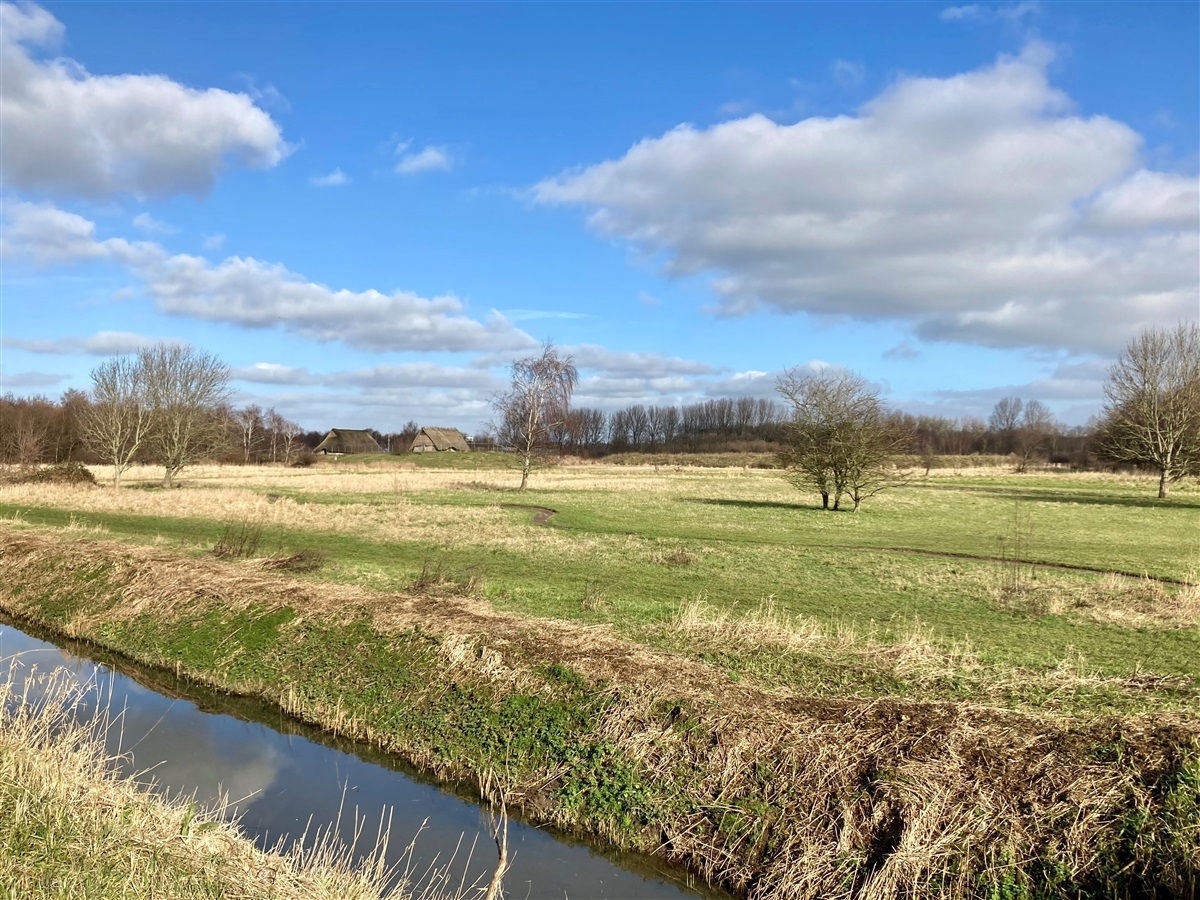 Afbeelding van het te saneren gebied