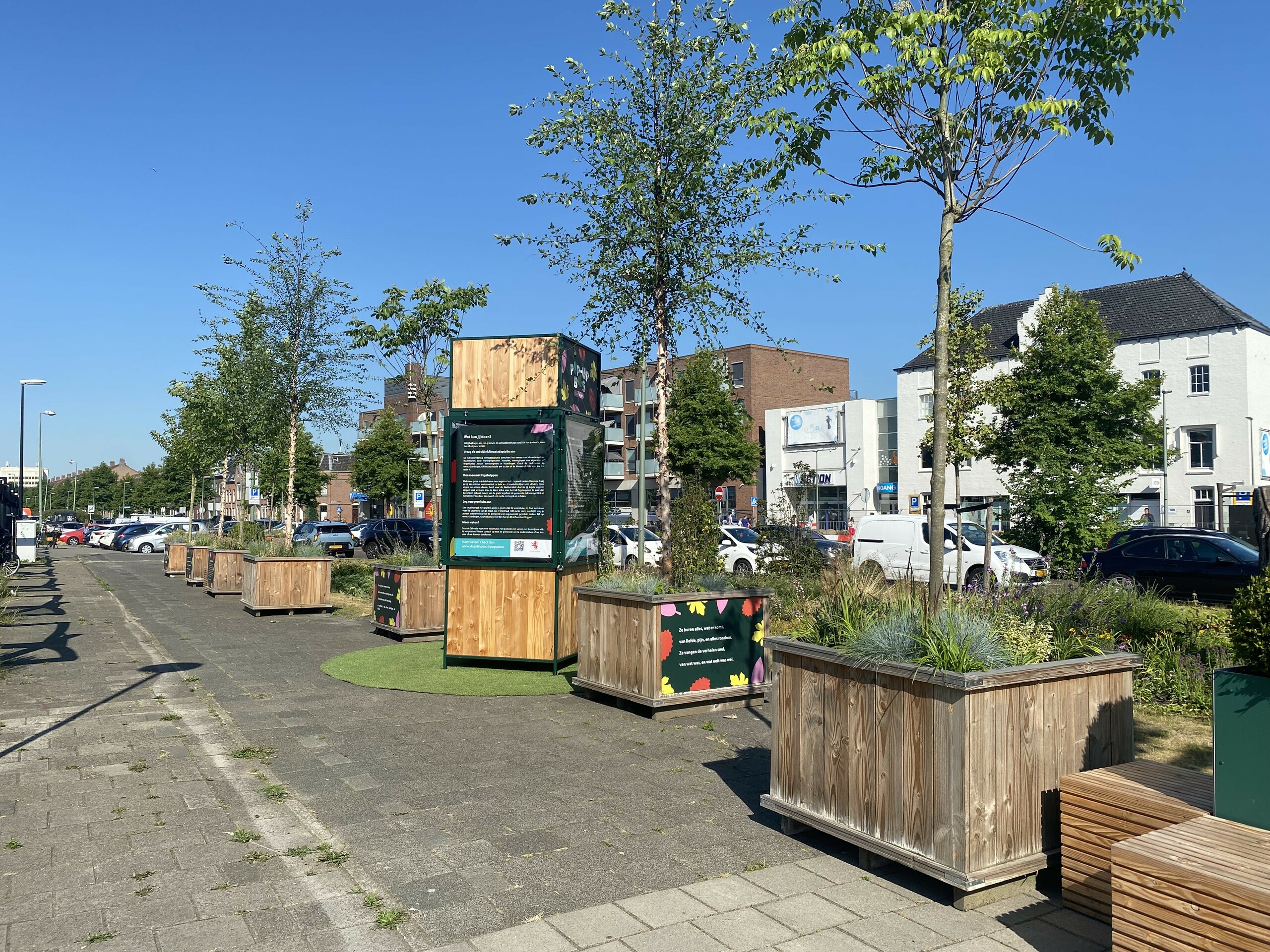 Nieuwe foto pop-up bos