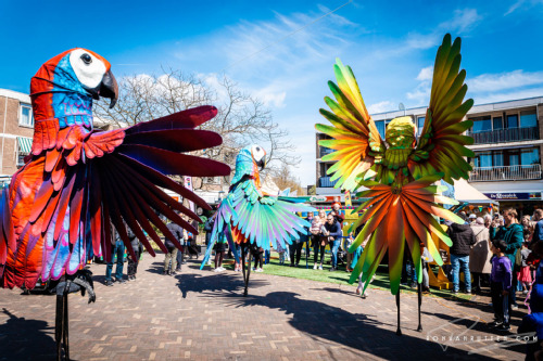 mensen verkleed als grote vogels tijdens de stadskaravaan