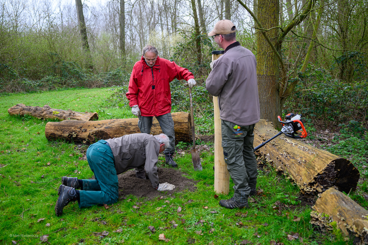 Plaatsen van Loep in Klauterwoud - 1