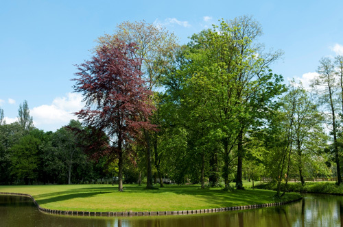 Bomen en water in 't Hof / Oranjepark - fotografie Ron van Rossum