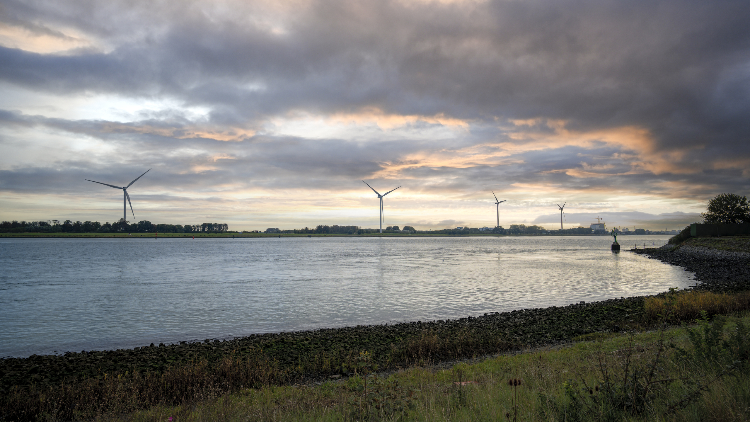 Vier windmolens langs ’t Scheur in Vlaardingen