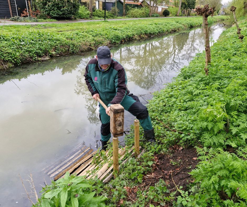 egels uit het water