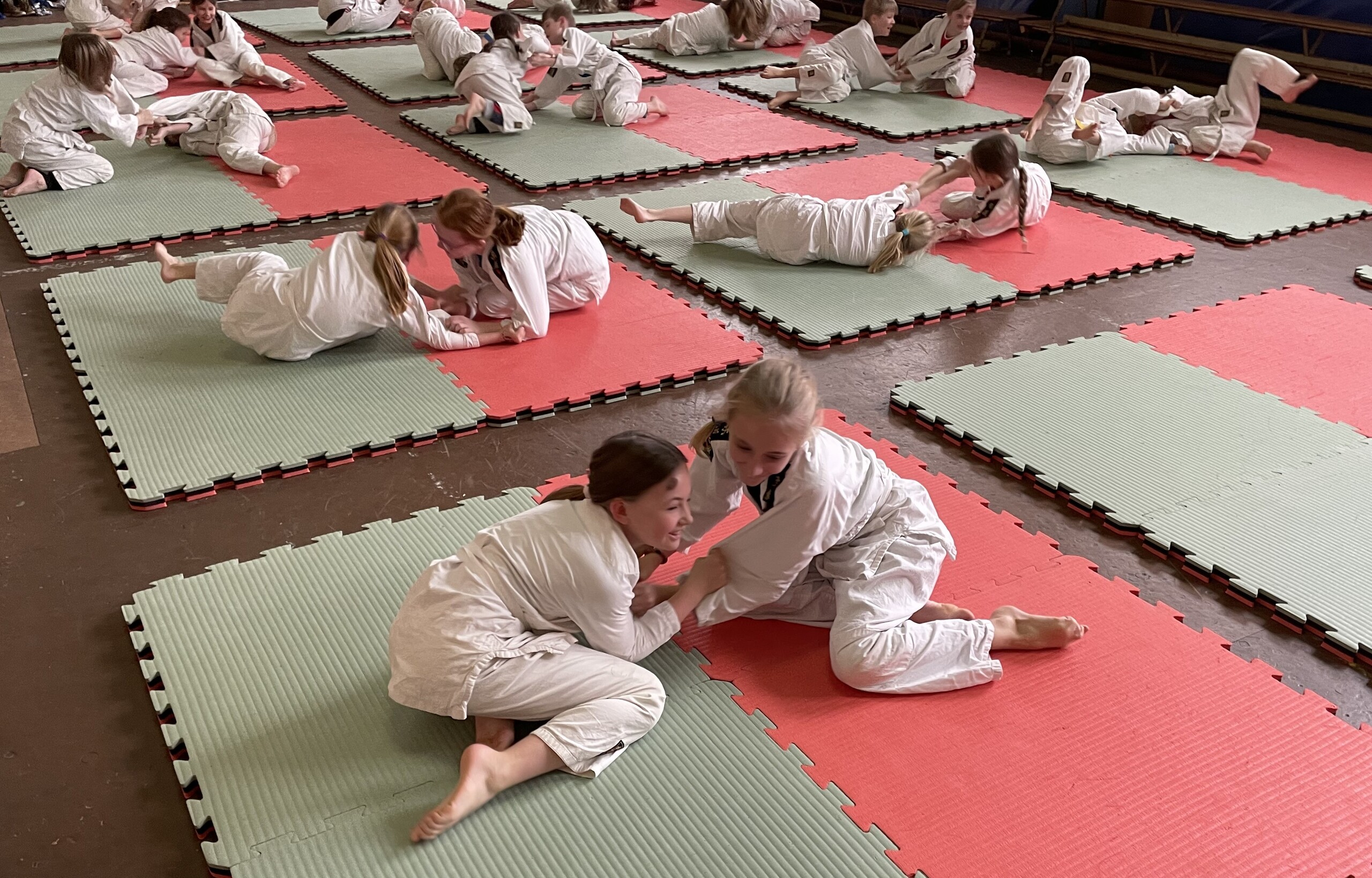 Judo clinic