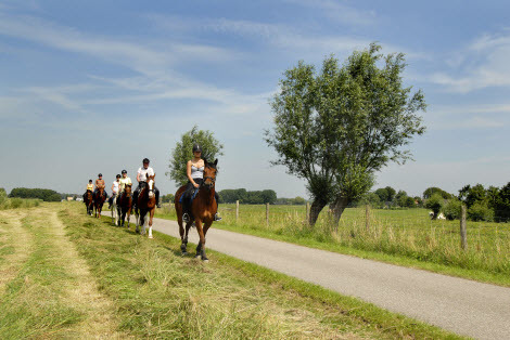 paardrijders in de Zuidbuurt - fotografie Angelique van Woerkom
