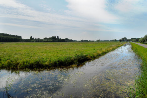 water en groen in de Zuidbuurt - fotografie Angelique van Woerkom