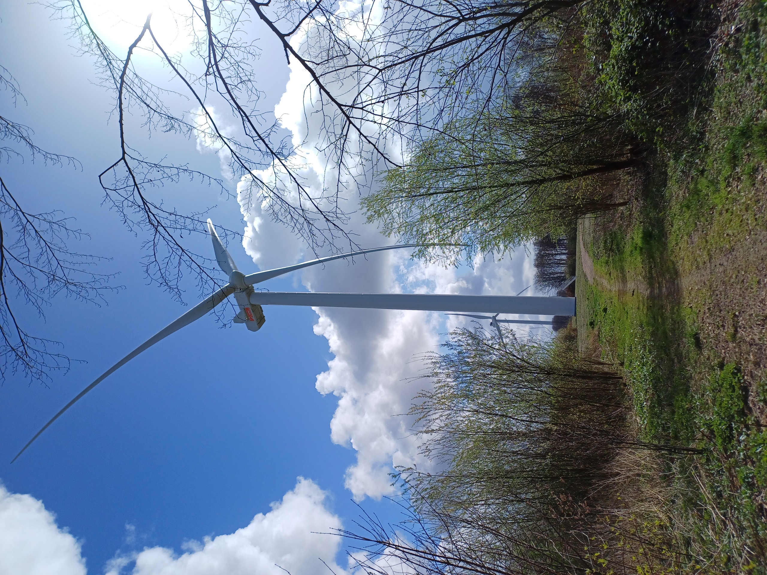 Foto van een windmolen uit het Oeverbos Vlaardingen
