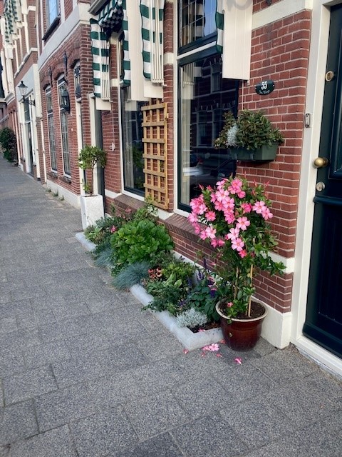 geveltuin ton tobe19 2023